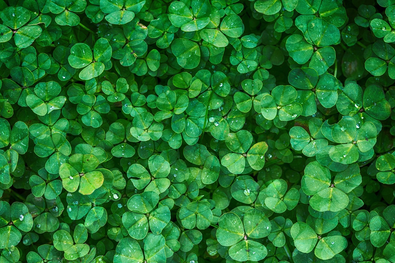 ¿Qué significa el color verde en los contenedores de basura?